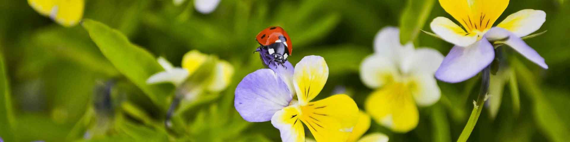 5e6c4fbabdb21.jpg 5e6c4fbabdb21.jpg